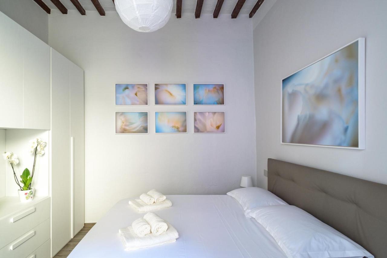 Pisa Art Apartment 外观 照片