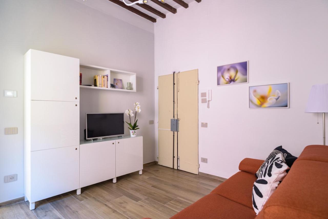 Pisa Art Apartment 外观 照片